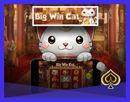 Machine à sous Big Win Cat bientôt sur les casinos Play'N Go