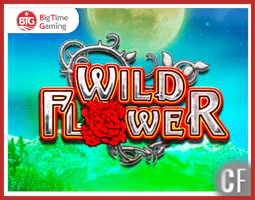 Machine à sous Wild Flower sur les casinos Big Time Gaming